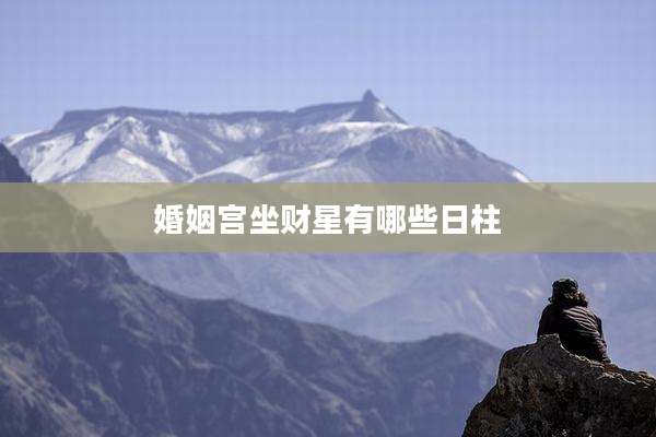 婚姻宫坐财星有哪些日柱