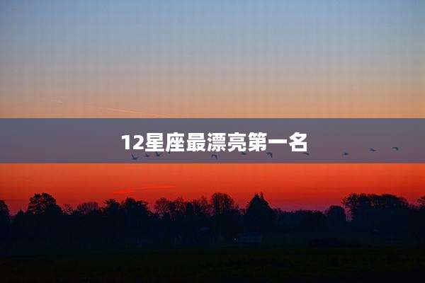 12星座最漂亮第一名