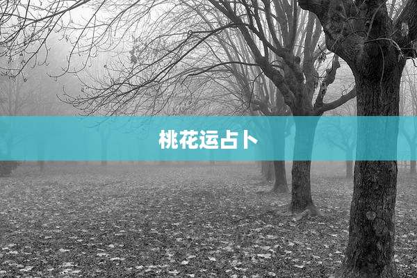 桃花运占卜