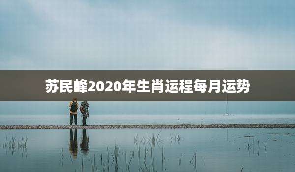 苏民峰2020年生肖运程每月运势