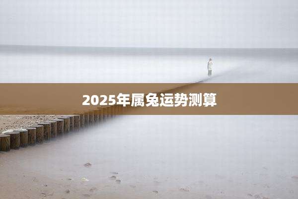 2025年属兔运势测算