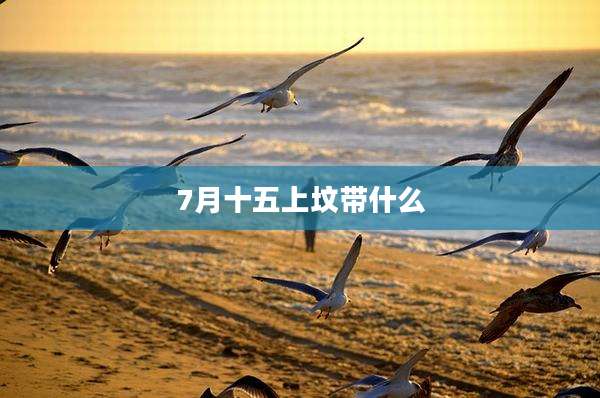 7月十五上坟带什么