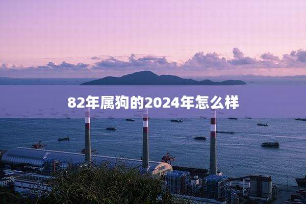 82年属狗的2024年怎么样