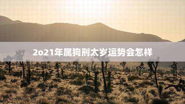 2o21年属狗刑太岁运势会怎样