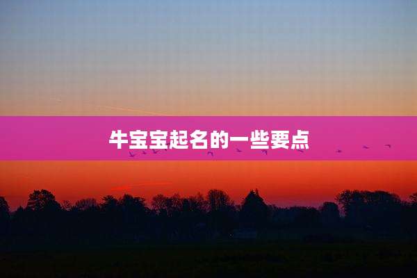 牛宝宝起名的一些要点