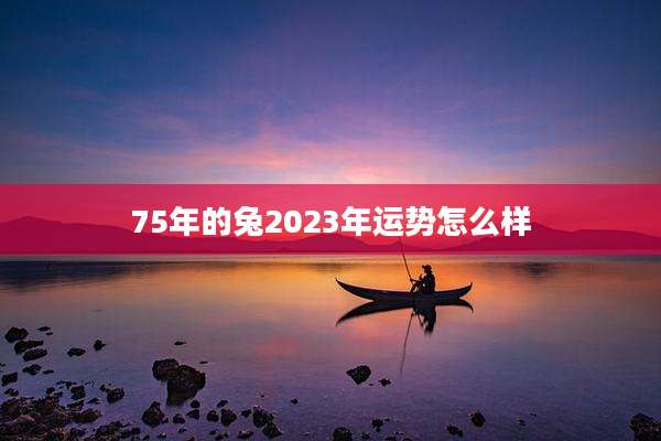 75年的兔2023年运势怎么样