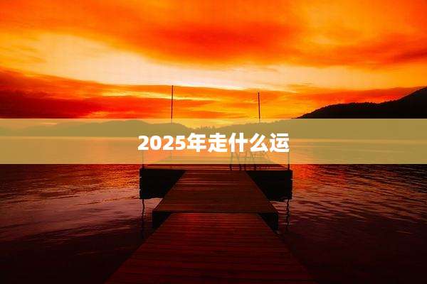2025年走什么运