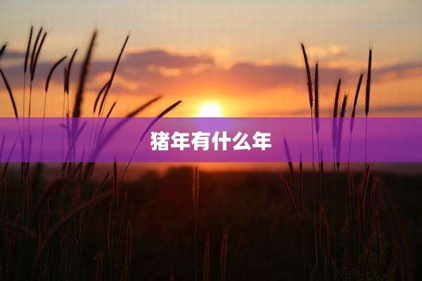 猪年有什么年