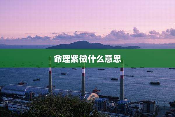 命理紫微什么意思