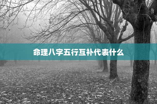 命理八字五行互补代表什么