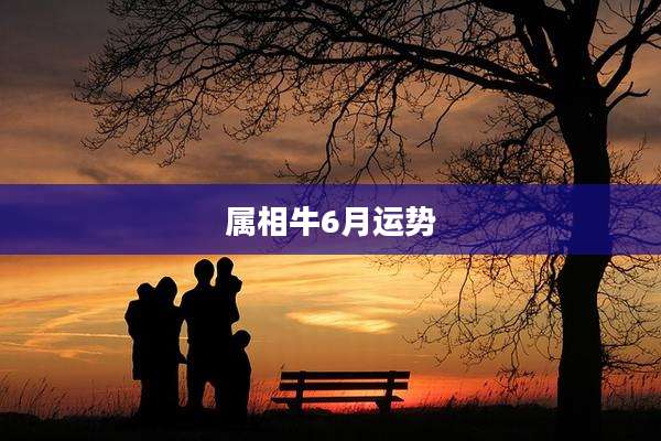 属相牛6月运势