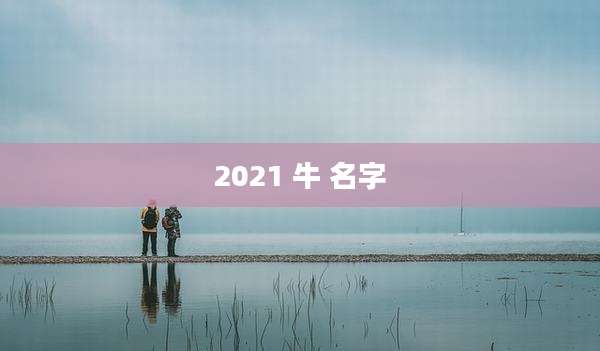 2021 牛 名字