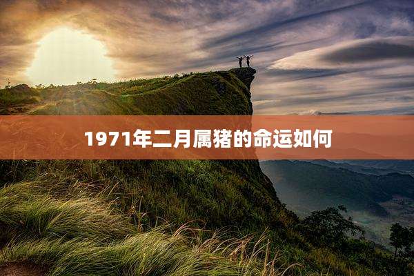 1971年二月属猪的命运如何