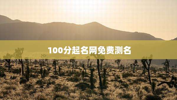 100分起名网免费测名