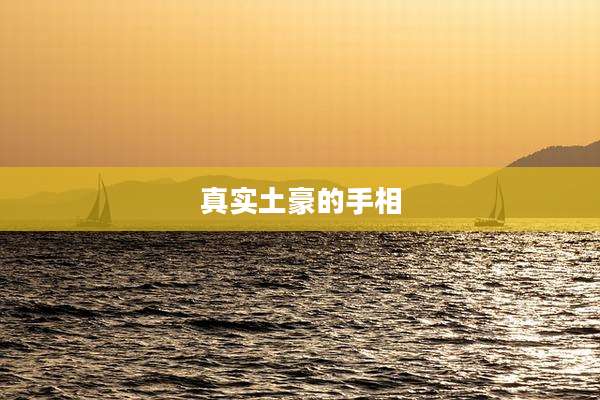 真实土豪的手相