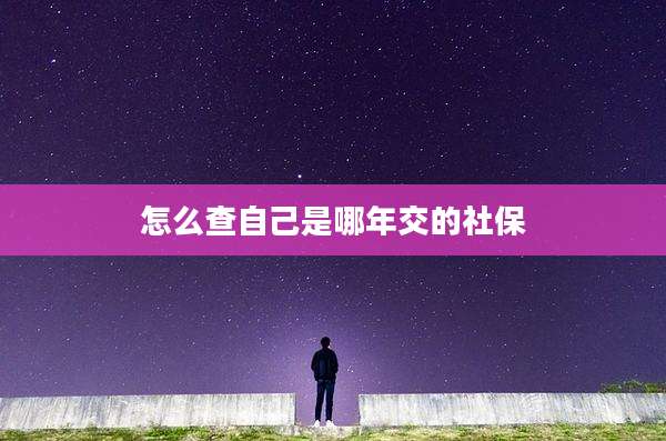 怎么查自己是哪年交的社保