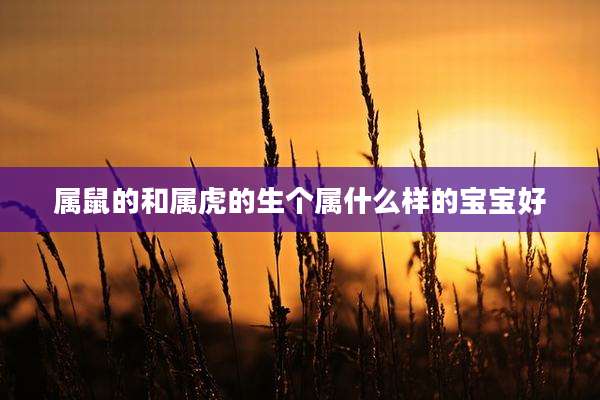 属鼠的和属虎的生个属什么样的宝宝好