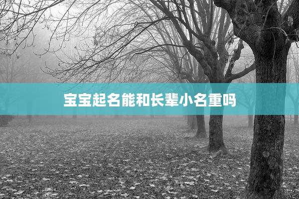 宝宝起名能和长辈小名重吗