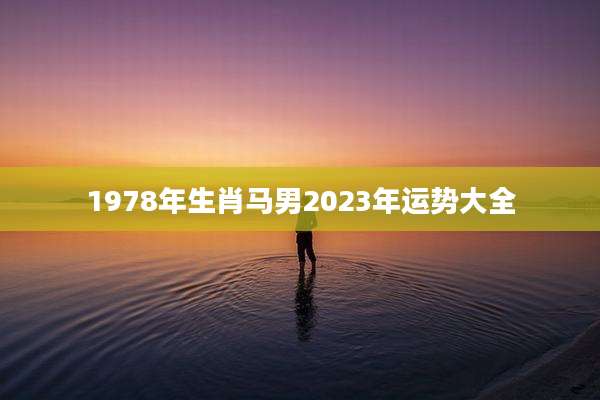 1978年生肖马男2023年运势大全