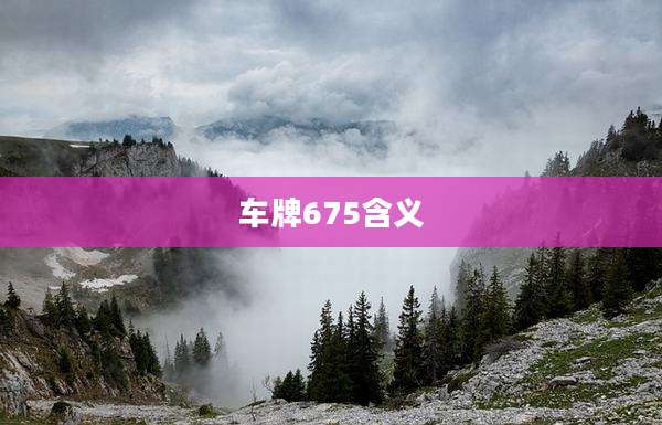车牌675含义
