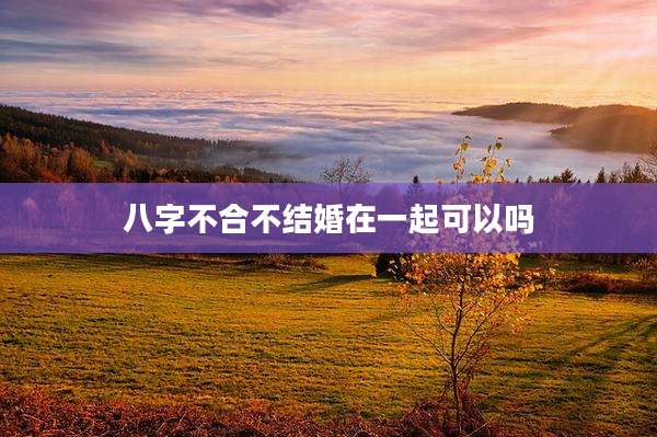 八字不合不结婚在一起可以吗