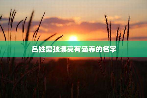 吕姓男孩漂亮有涵养的名字