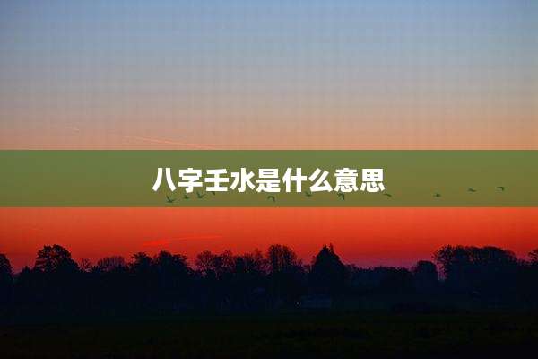 八字壬水是什么意思