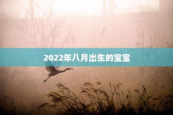 2022年八月出生的宝宝