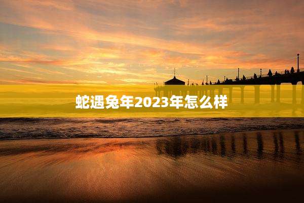 蛇遇兔年2023年怎么样