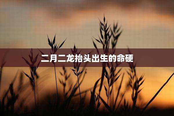 二月二龙抬头出生的命硬