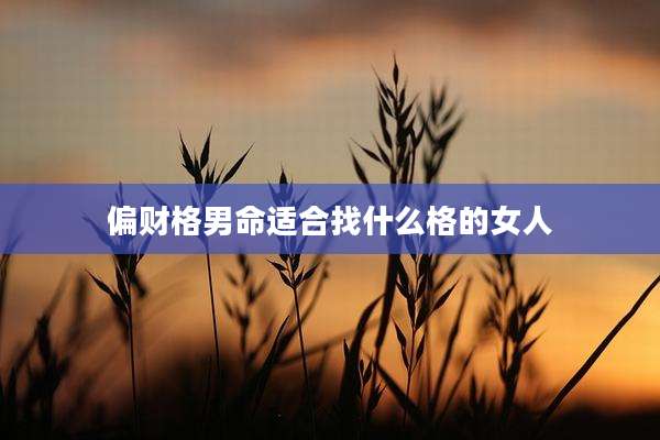 偏财格男命适合找什么格的女人