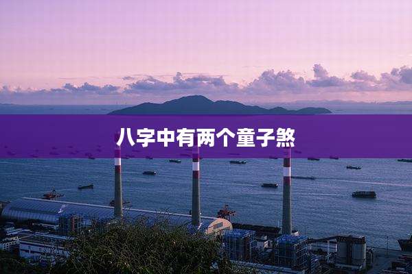 八字中有两个童子煞