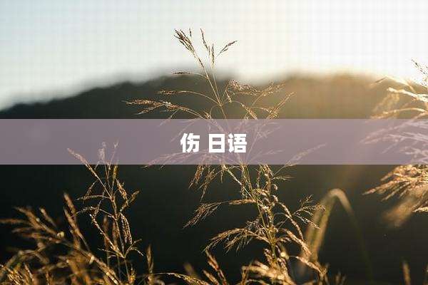 伤 日语