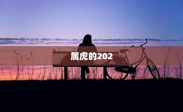 属虎的202
