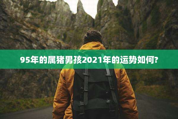 95年的属猪男孩2021年的运势如何?