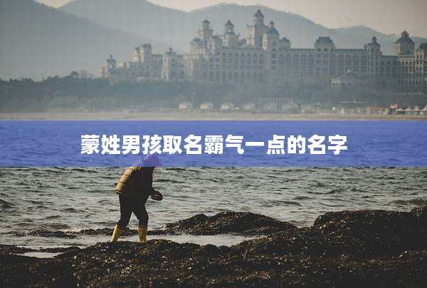蒙姓男孩取名霸气一点的名字