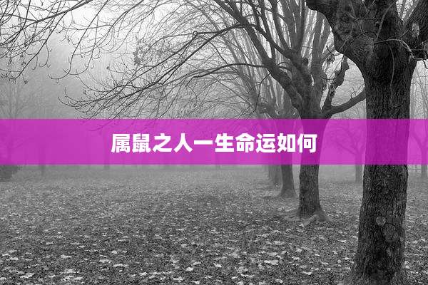 属鼠之人一生命运如何