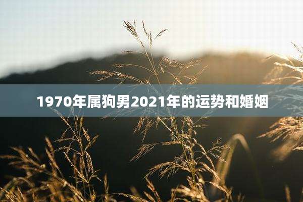 1970年属狗男2021年的运势和婚姻