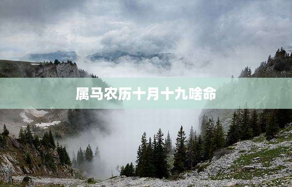 属马农历十月十九啥命