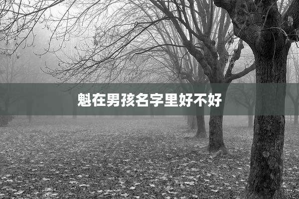 魁在男孩名字里好不好