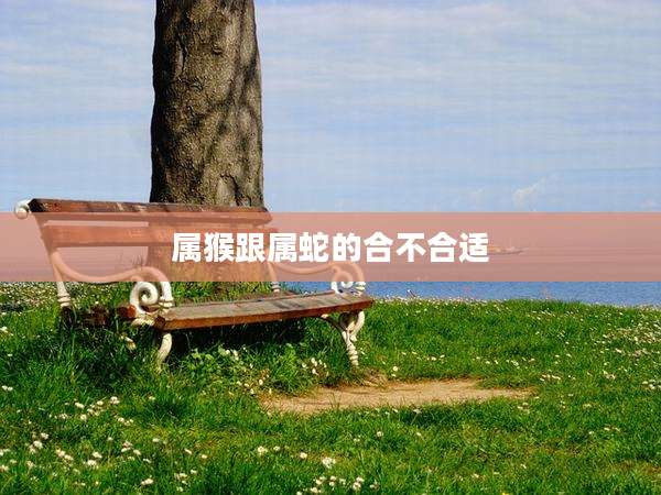 属猴跟属蛇的合不合适