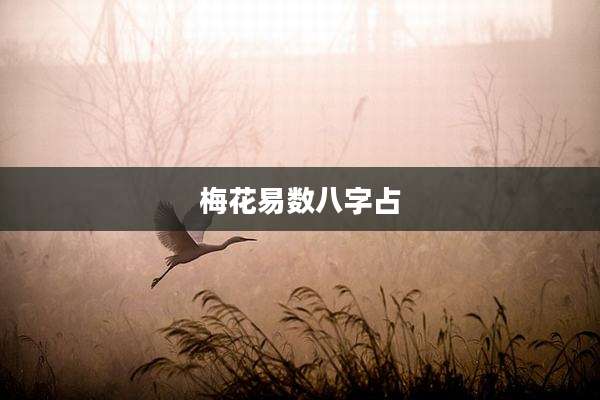 梅花易数八字占