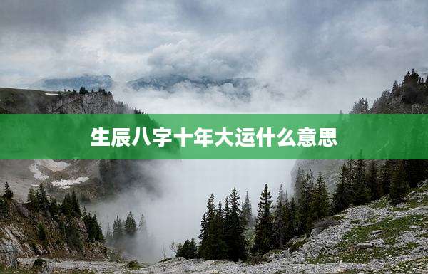 生辰八字十年大运什么意思