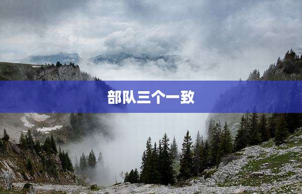 部队三个一致