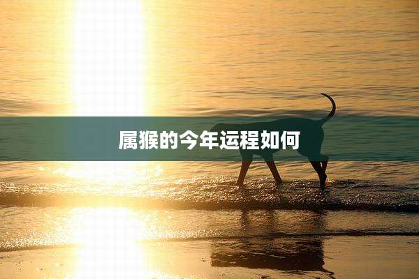 属猴的今年运程如何