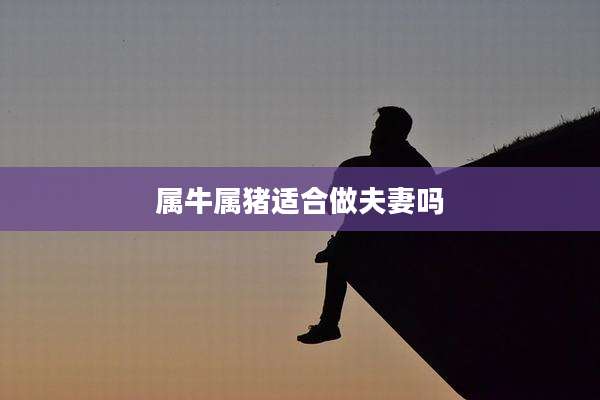 属牛属猪适合做夫妻吗