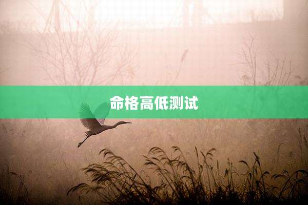 命格高低测试