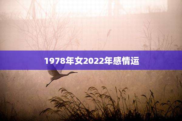 1978年女2022年感情运