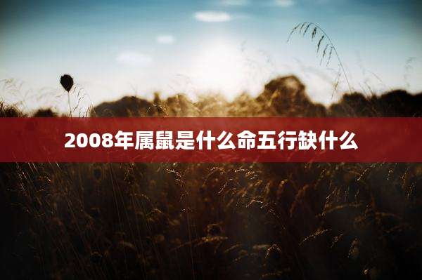 2008年属鼠是什么命五行缺什么