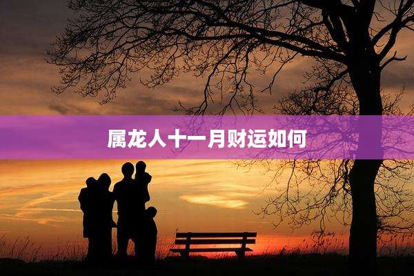 属龙人十一月财运如何